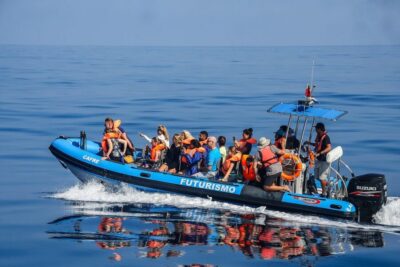 Whale and Dolphin Watching Trip