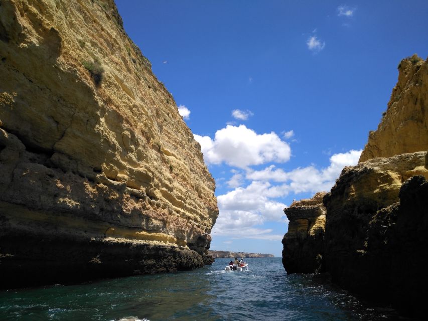From Portimão: Benagil Caves Guided Speedboat Tour - Who should book this experience