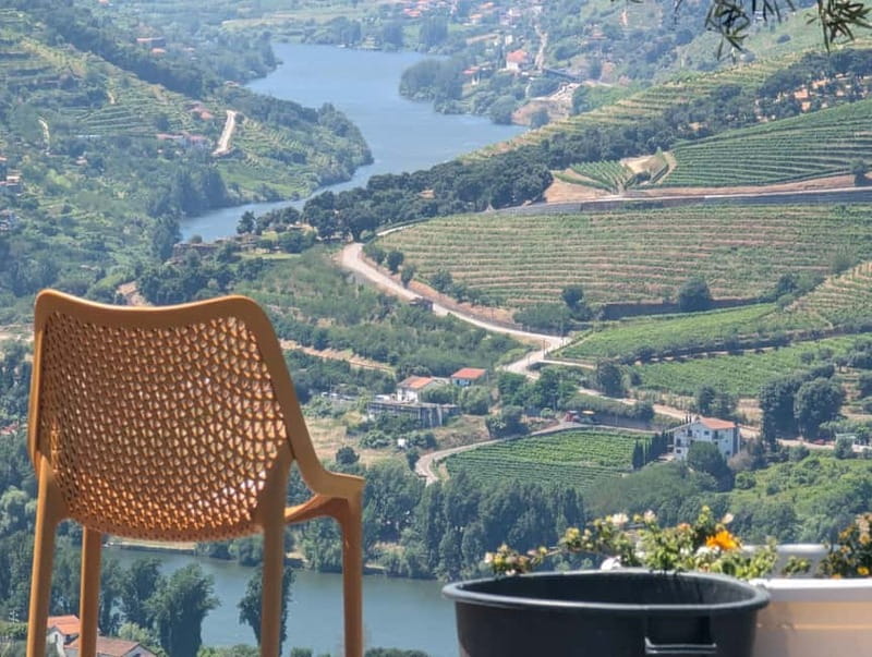 From Porto: 2 Wine Regions, Farm-to-Table Lunch & Boat - Who should book this day trip