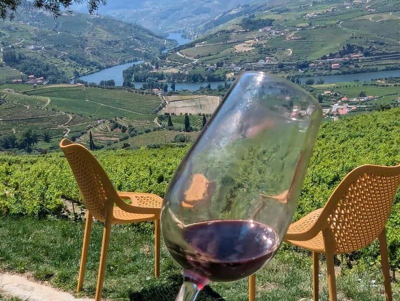 From Porto: 2 Wine Regions, Farm-to-Table Lunch & Boat - The road toward the Douro Valley