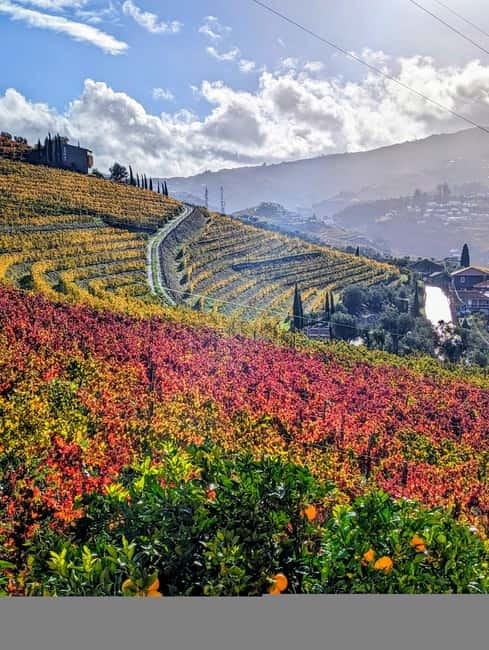 From Porto: 2 Wine Regions, Farm-to-Table Lunch & Boat - Lunch above the Douro River