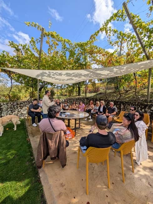 From Porto: 2 Wine Regions, Farm-to-Table Lunch & Boat - Food, wine, and the value of a family estate