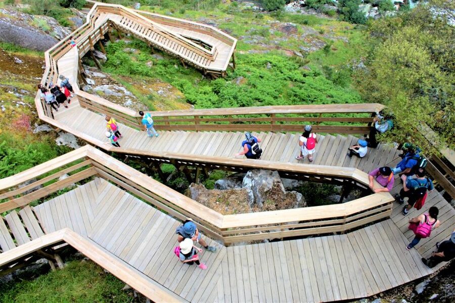 From Porto: 516 Arouca Bridge and Paiva Walkways Guided Tour - Guides, group size, and the feel of the day