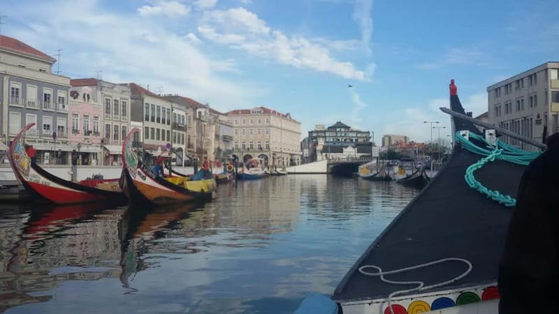 From Porto: Aveiro & Coimbra Tour with Moliceiro Boat Cruise - Why Aveiro makes a good first stop