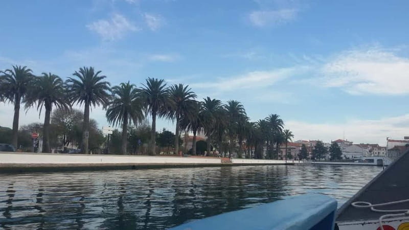 From Porto: Aveiro & Coimbra Tour with Moliceiro Boat Cruise - Riding a moliceiro through the canals