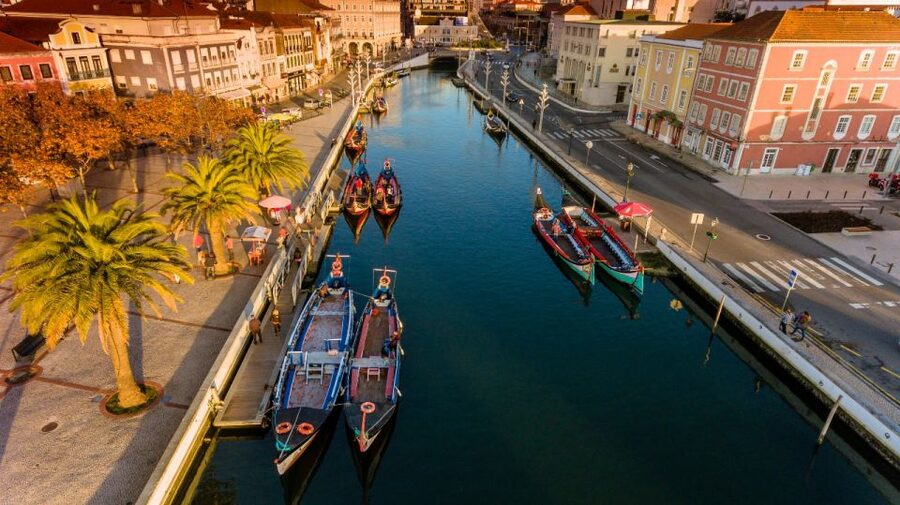 From Porto: Aveiro Private Guided Day Trip - What the $337 group price really buys