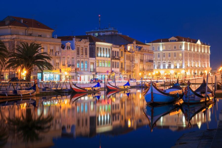 From Porto: Aveiro Private Guided Day Trip - The guides and the personal touch