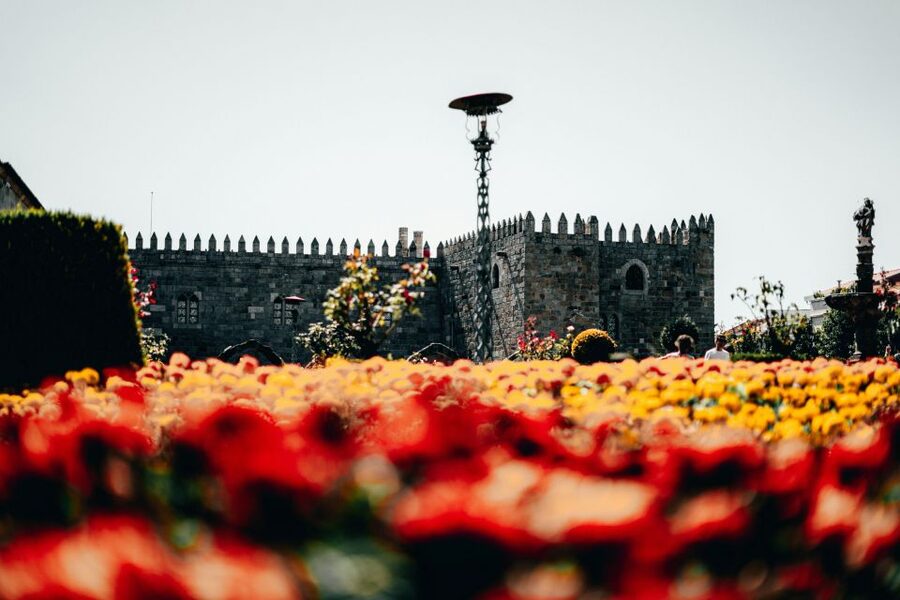 From Porto: Braga & Guimarães with Lunch Small Group Tour - The ride north in a small, air-conditioned van