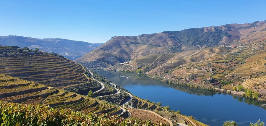 From Porto Day Douro Valley Wine Tour 2 Wine Tasting & Lunch - Who will enjoy this day most