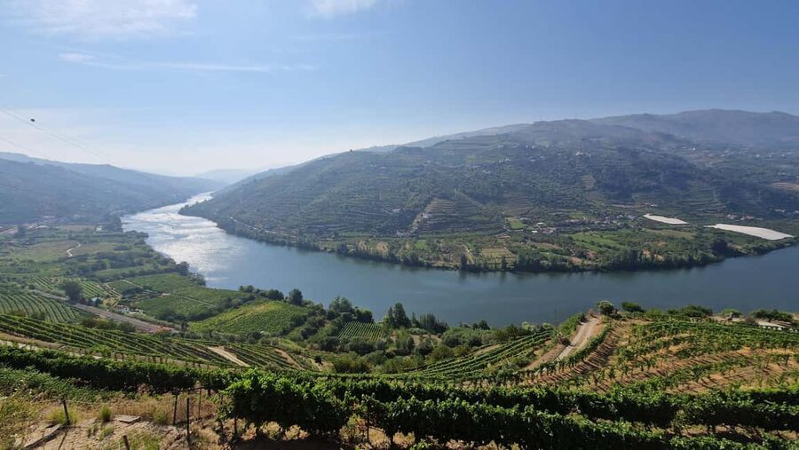 From Porto Day Douro Valley Wine Tour 2 Wine Tasting & Lunch - Starting in Porto with a small group