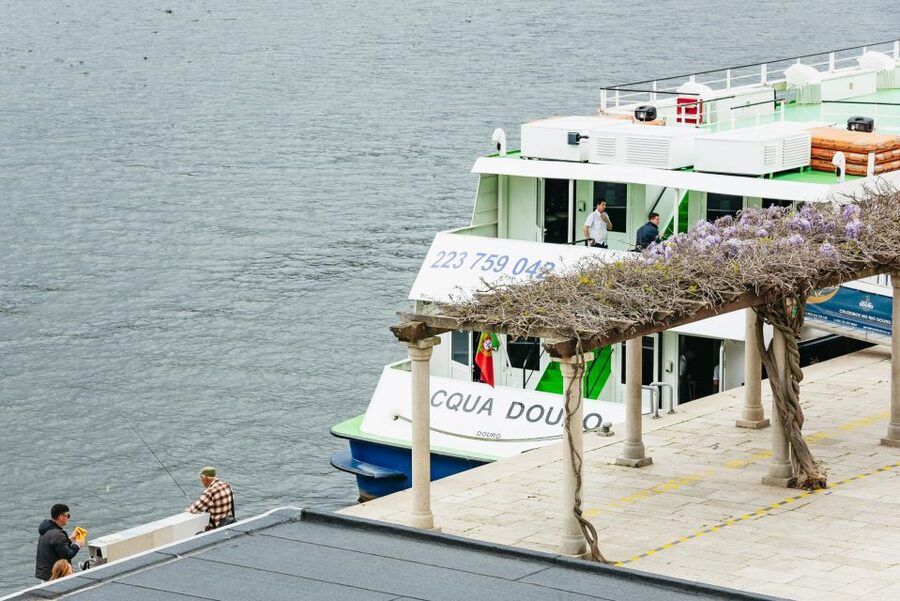 From Porto: Douro River Cruise to Régua with Lunch - The long middle stretch through the Douro Valley