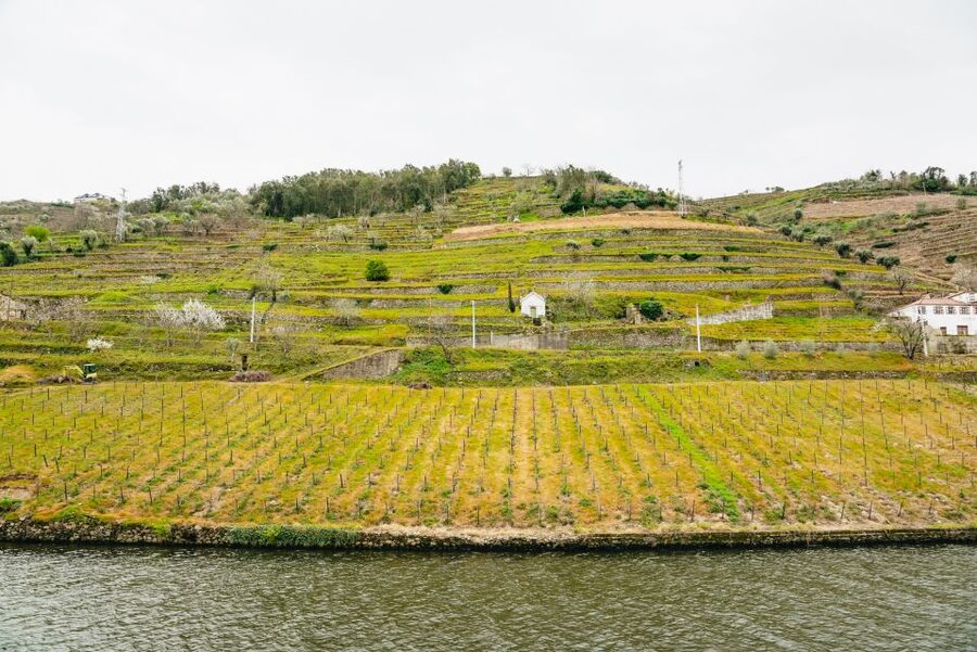 From Porto: Douro River Cruise to Régua with Lunch - Carrapatelo Dam brings the bigger engineering show