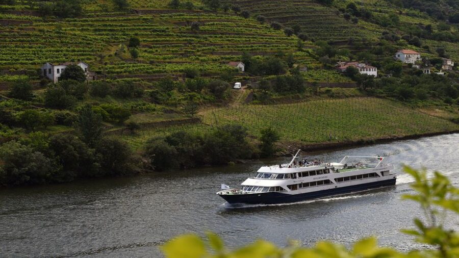From Porto: Douro River Cruise, Winery Visit & Lunch - Is $119 good value?