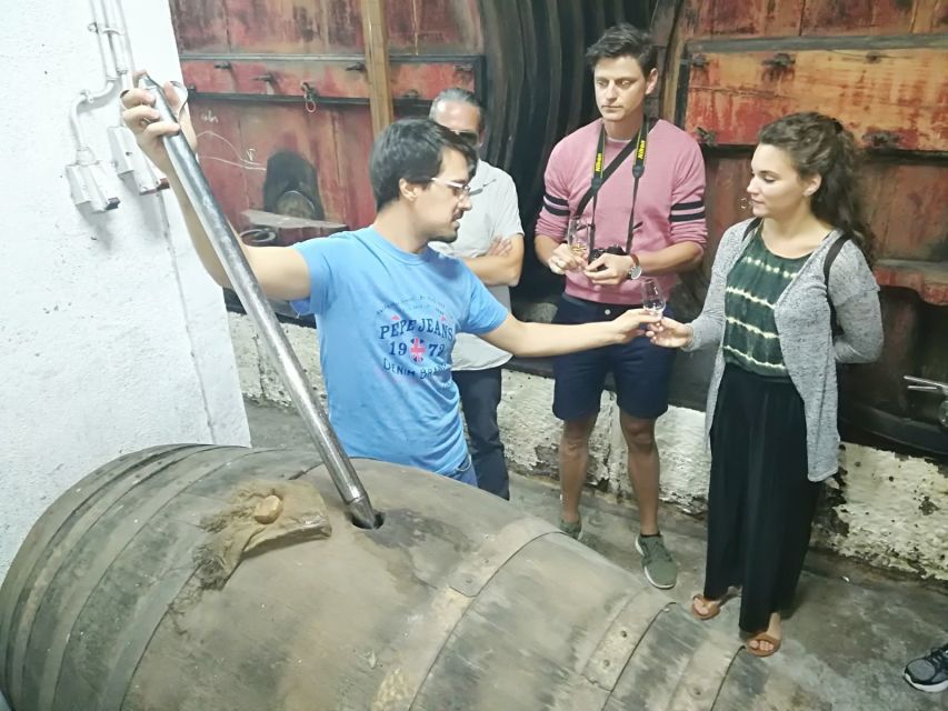 From Porto: Douro Valley 3 Vineyards Tour with Lunch - Practical value at $108