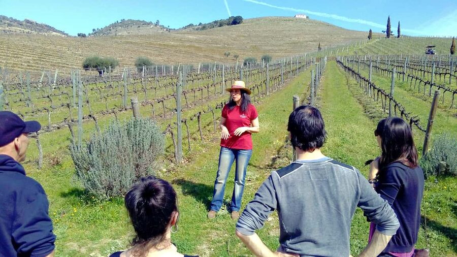 From Porto: Douro Valley 3 Vineyards Tour with Lunch - Why the Douro Valley deserves a full day