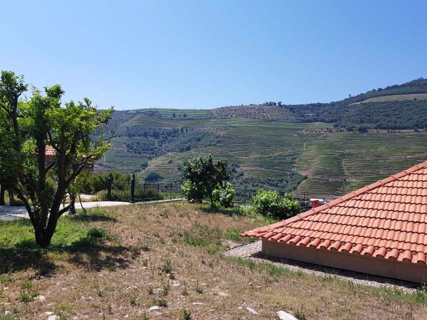 From Porto: Douro Valley 3 Vineyards Tour with Lunch - Scenic stops among the vineyard slopes