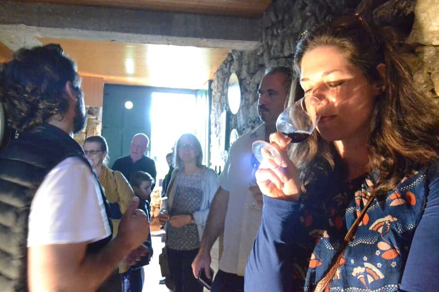 From Porto: Douro Valley 3 Vineyards Tour with Lunch - What your guide adds to the day