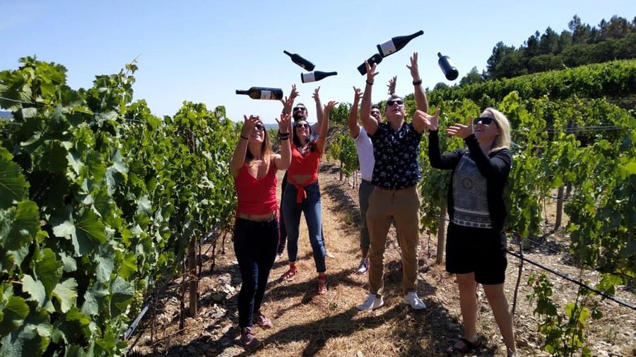 From Porto: Douro Valley Tour with Tastings, Boat & Lunch - Why the Douro Valley is worth a full day
