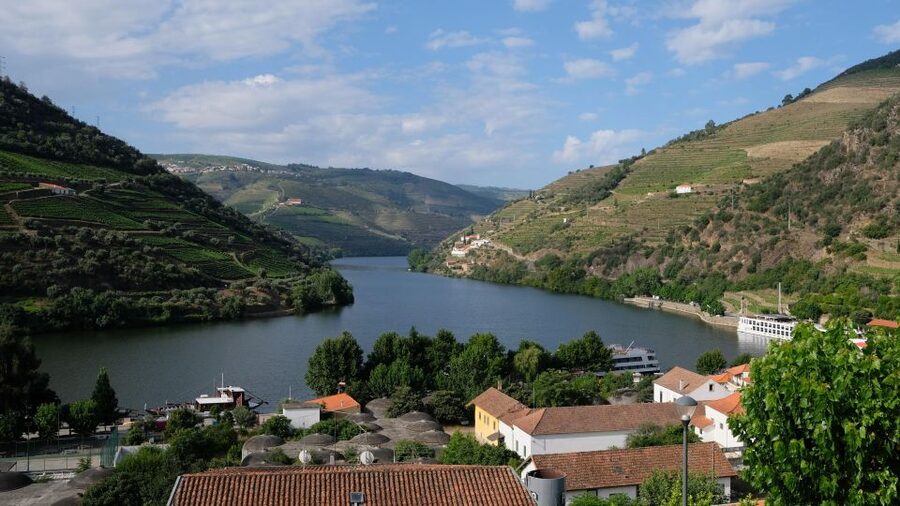 From Porto: Douro Valley Tour with Tastings, Boat & Lunch - First views of the Douro