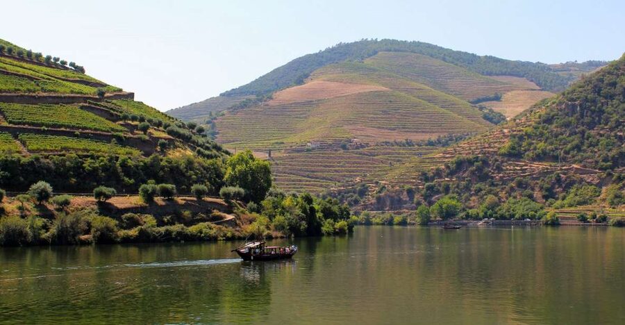 From Porto: Douro Valley Tour with Tastings, Boat & Lunch - First winery: table wines and local production