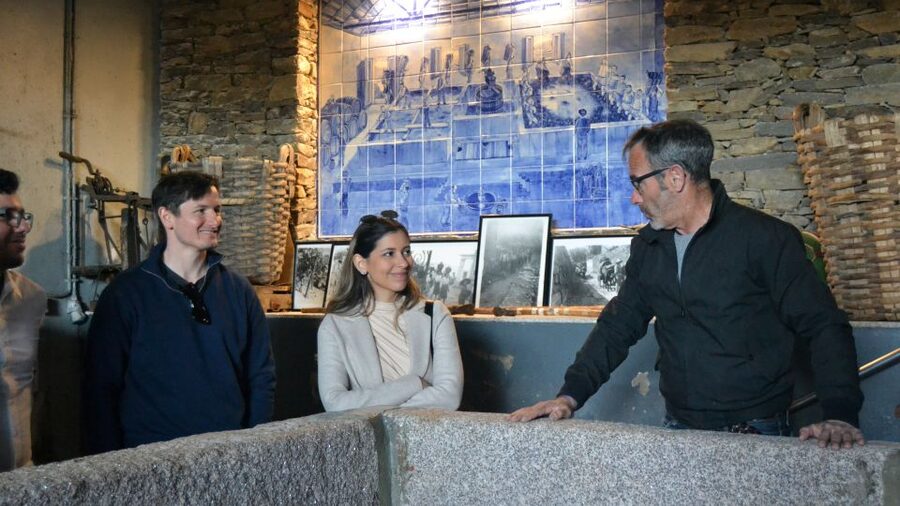 From Porto: Douro Valley Tour with Tastings, Boat & Lunch - Lunch with Douro DOC wine