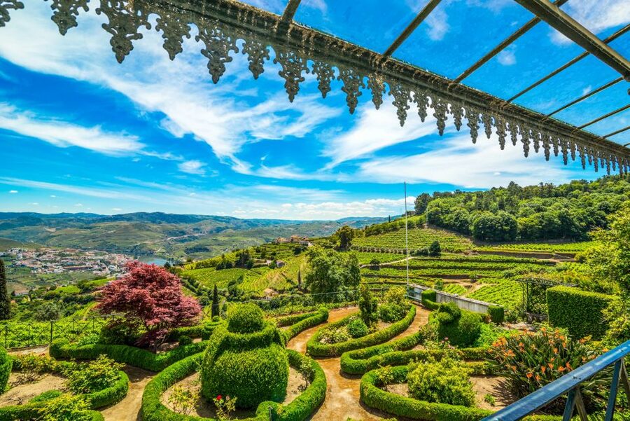 From Porto: Douro Valley w/ Boat Tour, Wine Tasting & Lunch - Guides, drivers, and the mood of the day