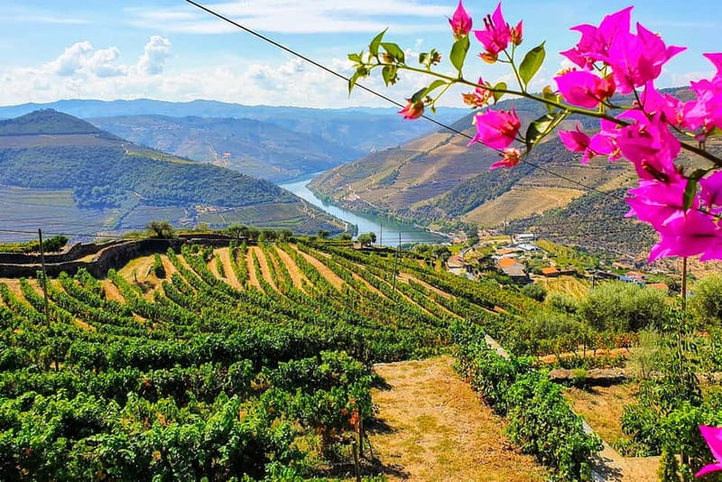 From Porto: Douro Valley with Wineries, Lunch and Boat Trip - Key points at a glance