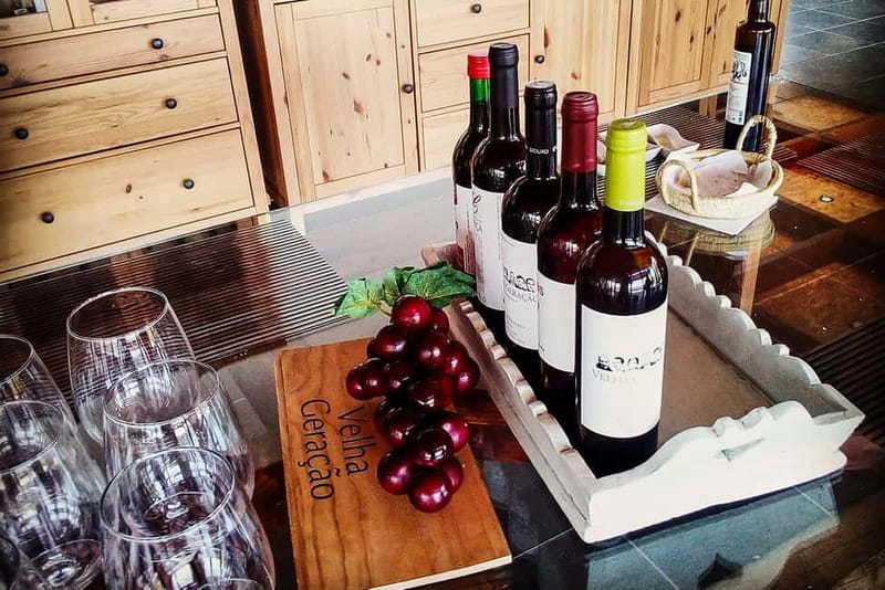From Porto: Douro Valley with Wineries, Lunch and Boat Trip - Why this Douro day works so well from Porto