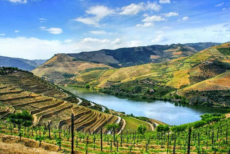 From Porto: Douro Valley with Wineries, Lunch and Boat Trip - Quinta do Seixo and the first Port tasting