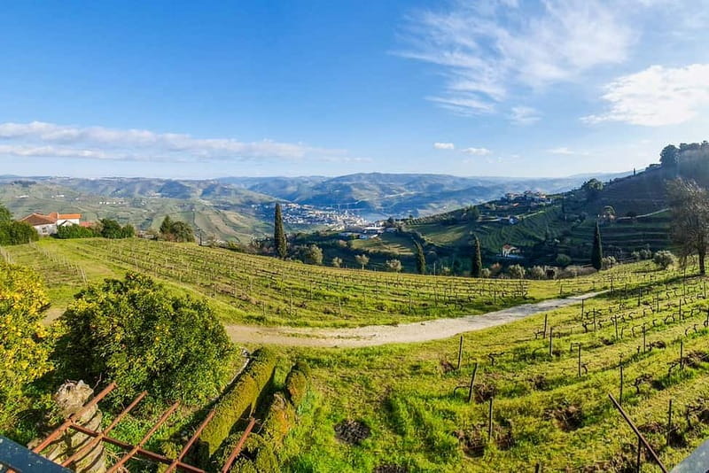 From Porto: Douro Valley with Wineries, Lunch and Boat Trip - The 50-minute Rabelo cruise on the Douro