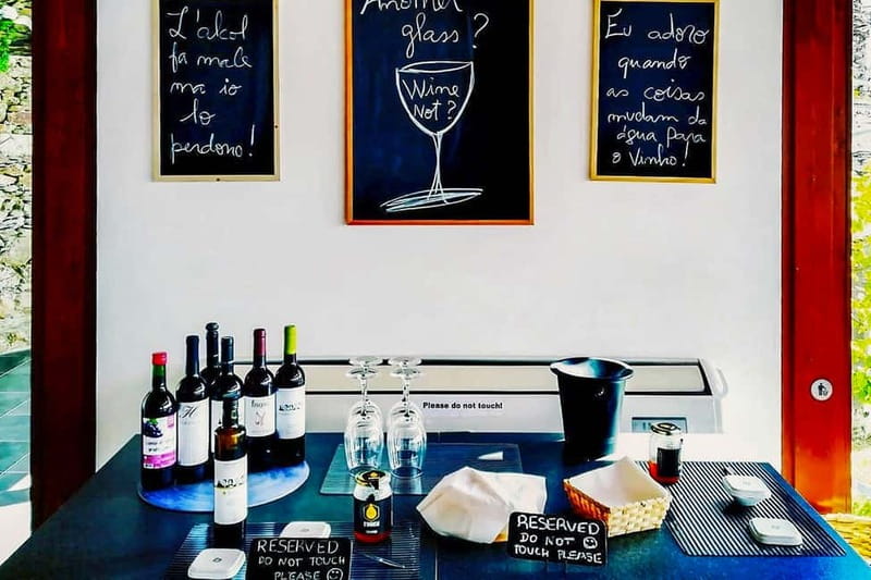 From Porto: Douro Valley with Wineries, Lunch and Boat Trip - What $171 includes, and where the value sits