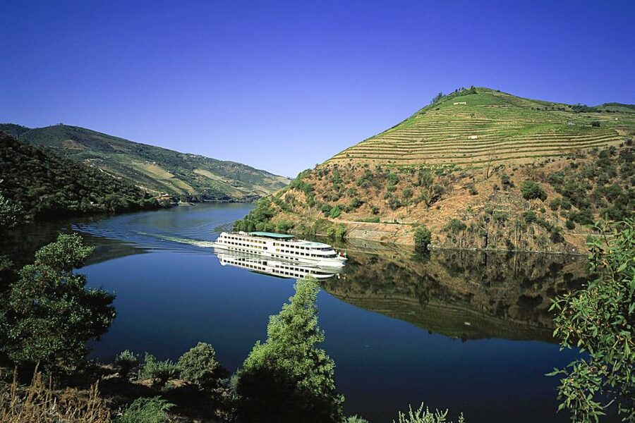 From Porto: Full-Day Douro Historical Tour - Why this Douro day trip works so well