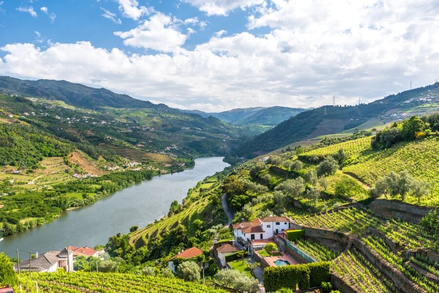 From Porto: Full-Day Douro Historical Tour - Amarante brings an easy first stop