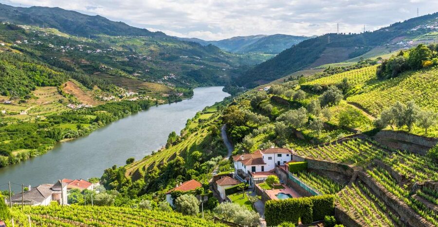 From Porto: Full-Day Douro Historical Tour - Lunch gives the day a needed pause