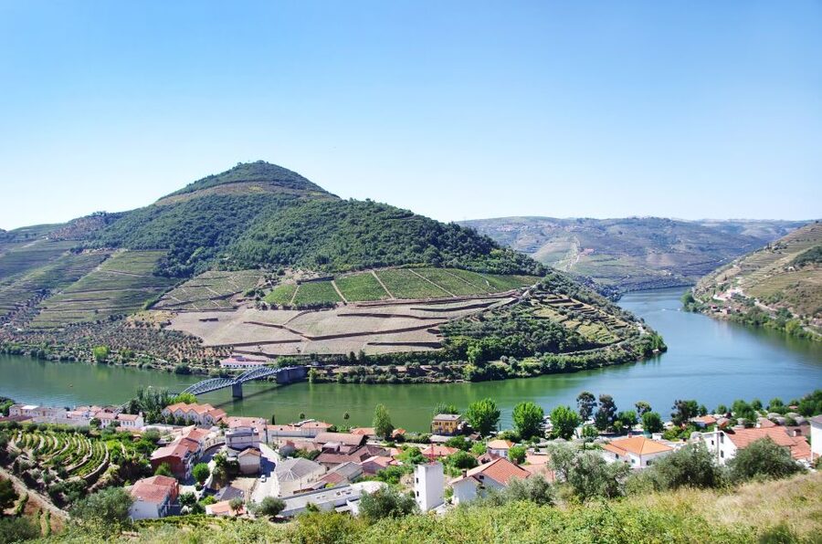 From Porto: Full-Day Douro Historical Tour - Port tasting connects the vineyards to the glass
