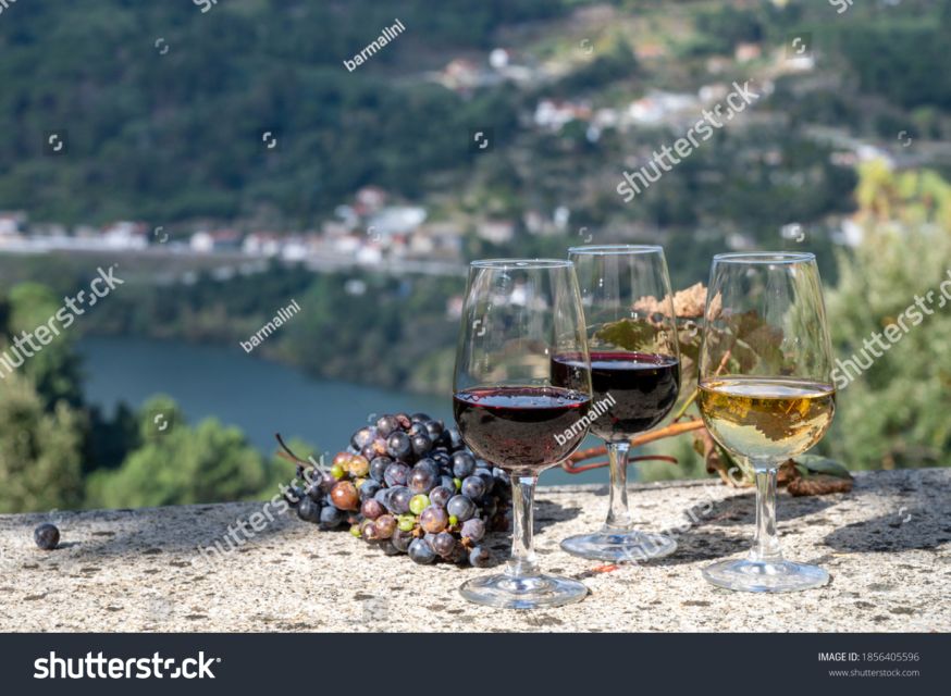 From Porto: Full-Day Douro Historical Tour - The road to the Douro reveals the reason to come