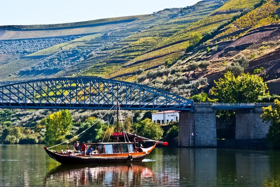 From Porto: Full-Day Douro Valley Trip - Group size, comfort, and pace