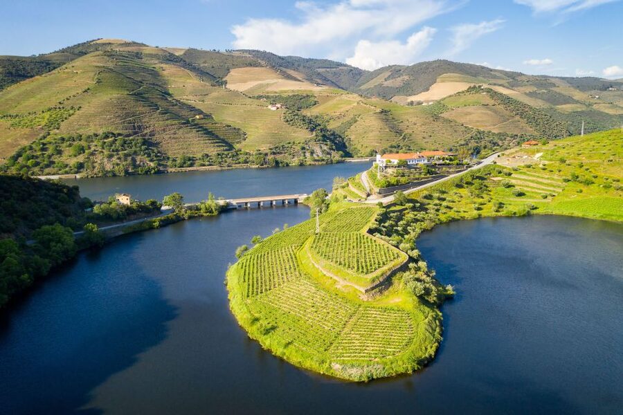 From Porto: Full-Day Douro Valley Trip - Why the Douro Valley is worth a full day