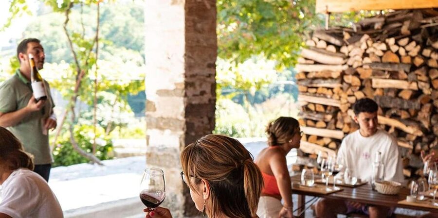 From Porto: Full-Day Douro Valley Trip - A wine-paired lunch in a cellar