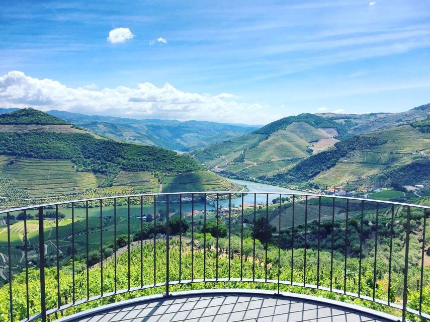 From Porto: Full-Day Douro Valley Trip - The one-hour cruise from Pinhão