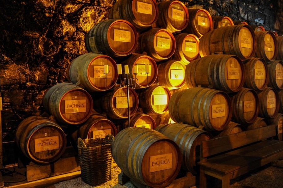 From Porto: Full-Day Douro Valley Trip - Guides who shape the day