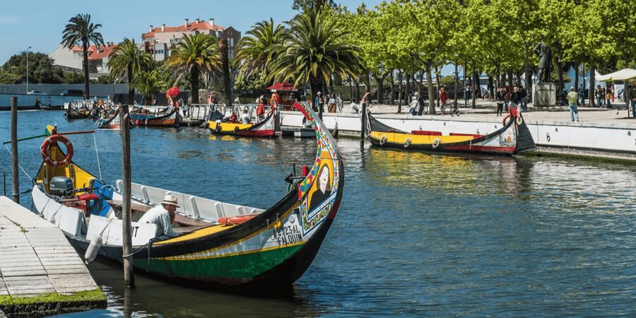 From Porto: Full-Day Trip to Coimbra & Aveiro with Boat Ride - Lunch in Coimbra District, with your own budget