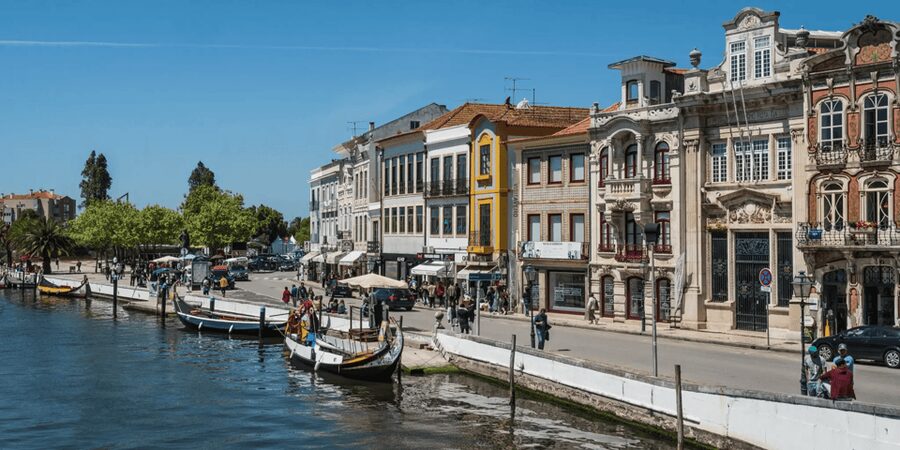 From Porto: Full-Day Trip to Coimbra & Aveiro with Boat Ride - Who will get the most from this day