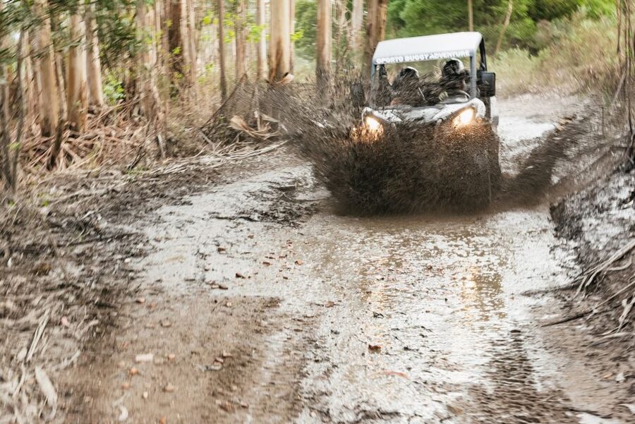 From Porto: Off-Road Buggy Adventure - Key points to know before you book