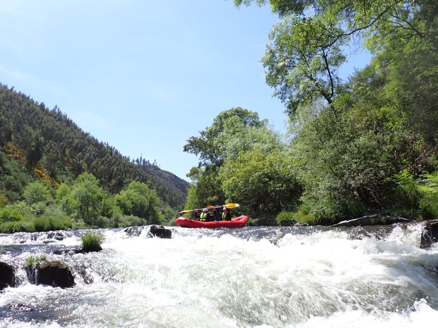 From Porto: Paiva River Canoe Rafting Adventure Tour - Safety, guides, and the group dynamic