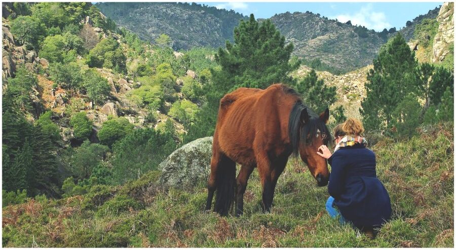 From Porto: Peneda-Gerês National Park Tour with Lunch - What the Guides Add to the Day