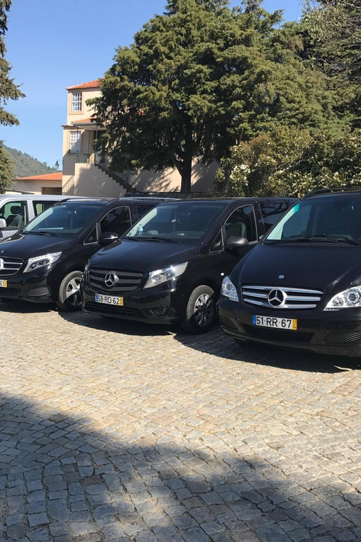 From Porto: Premium Douro Valley Small-Group Wine Tour - Why this Douro day works so well