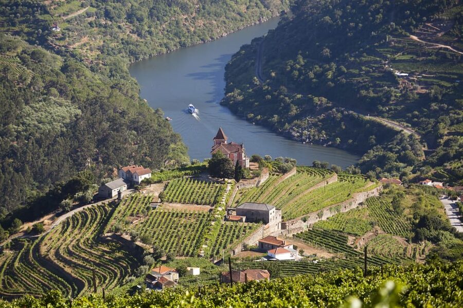 From Porto: Premium Douro Valley Small-Group Wine Tour - What the $123 price really covers