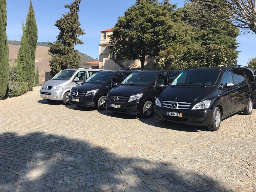 From Porto: Premium Douro Valley Small-Group Wine Tour - Who should book this tour