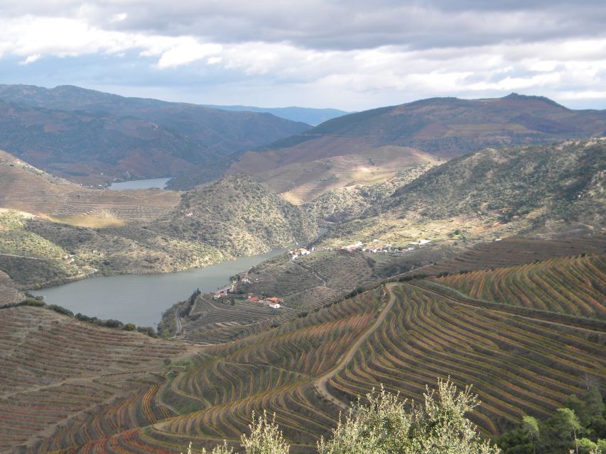 From Porto: Private Douro Valley Tour with Booking Service - Who will get the most from this day